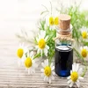 Chamomile oil blue